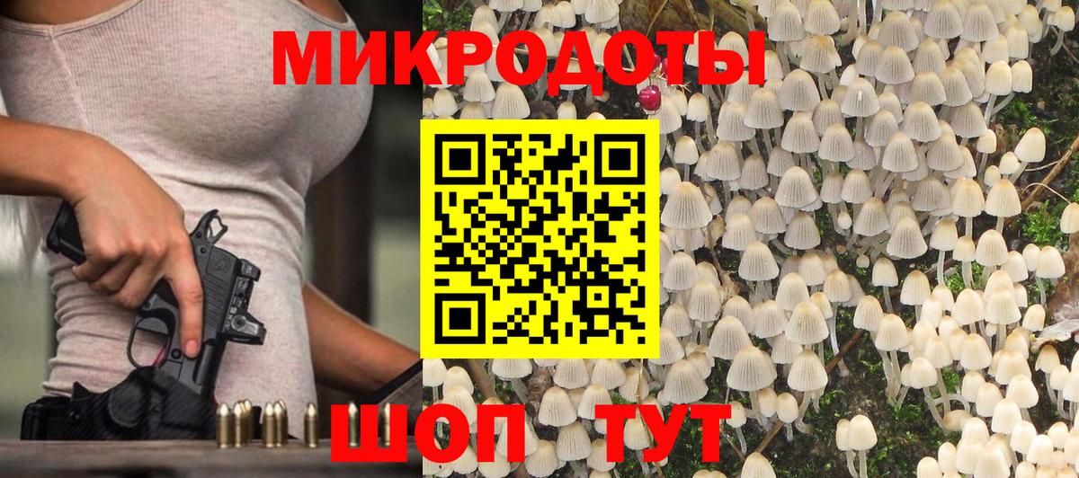 Псилоцибиновые грибы Psilocybine cubensis Тара